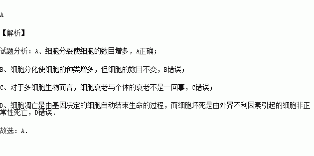 關於細胞增殖.分化.衰老和凋亡的敘述.正確的是( )a.