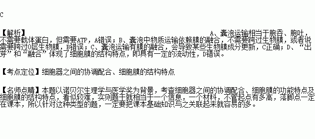 科学家研究了什么的原理_科学家卡通图片(3)