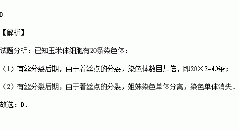 2014秋61平頂山期末玉米體細胞有20條染色體有絲分裂後期細胞中dna