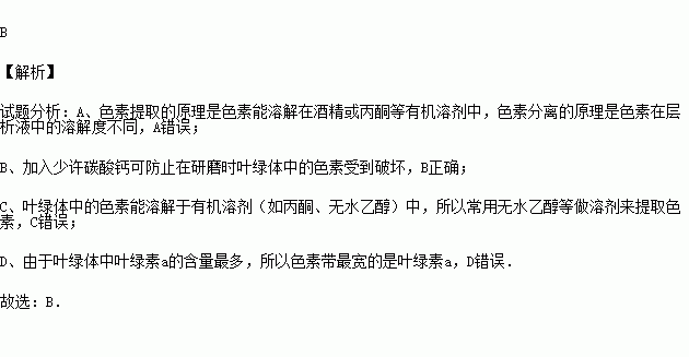 秋和色分开是什么成语_这是什么成语看图(2)