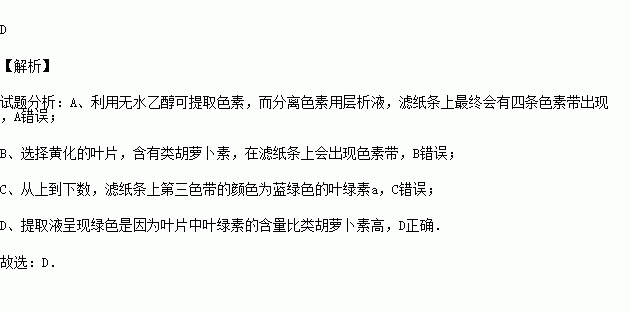 秋和色分开是什么成语_这是什么成语看图(2)