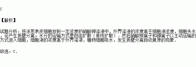 2015春61濟南校級期中浸入1moll的kno3溶液中的洋蔥表皮細胞會產生