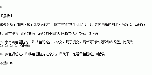 秋和色分开是什么成语_这是什么成语看图(2)