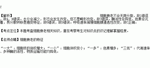 通透简谱_儿歌简谱