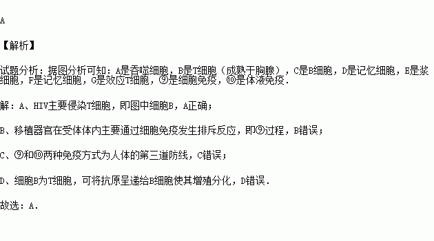 ⑨和⑩兩種免疫方式分別為人體的第二,三道防線b.