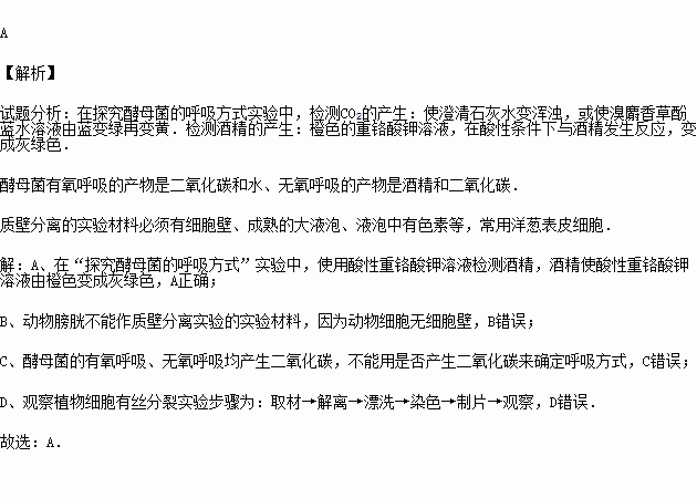 呼吸决定fine简谱_呼吸决定简谱(4)