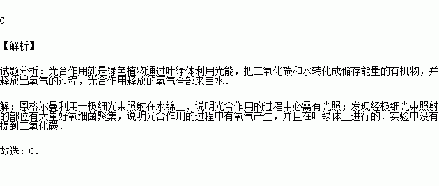 (2015春淄博期末)德国科学家恩吉尔曼利用一极细小光束,照在水绵上