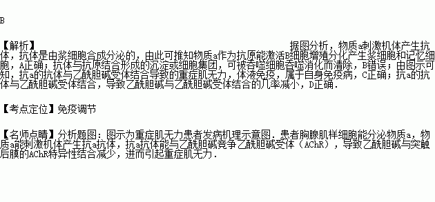 重症肌無力患者體內該過程出現異常.其發病機理示意圖如下.下