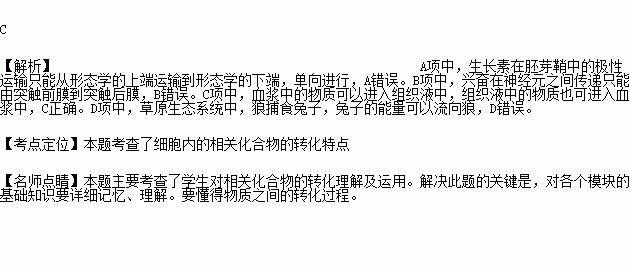 小兔与狼简谱_小兔和狼简谱歌谱(3)