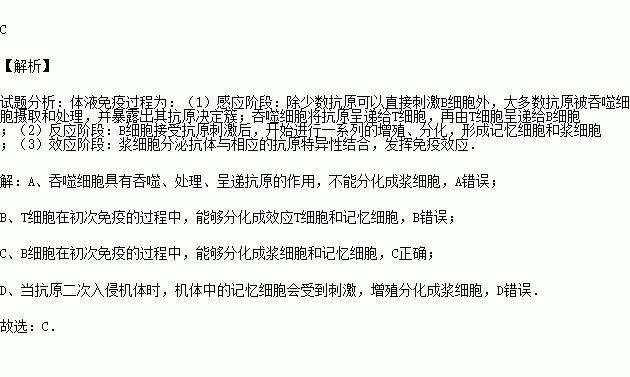 題目詳情