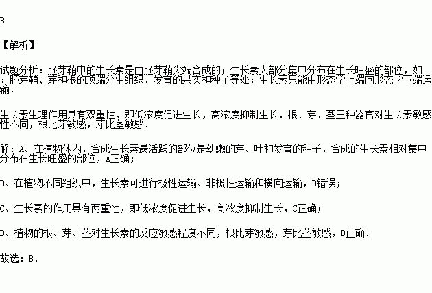 什么根什么芽的成语_成语故事图片(3)