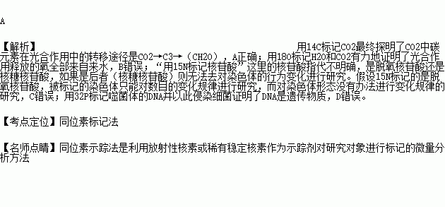 早上检测结果出点做核酸检测_早上做核酸下午出结果_早上8点做核酸检测几点出结果