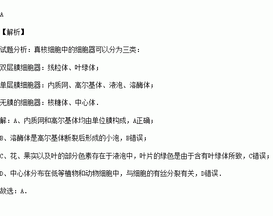 內質網和高爾基體均由單位膜構成