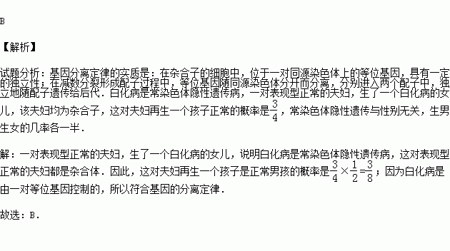 白化病病因图片