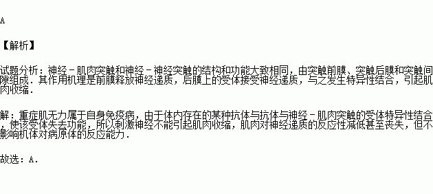 重症肌無力患者由於體內存在某種抗體.