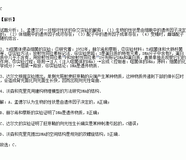 人口论决定是由谁提出的_会长是女仆大人