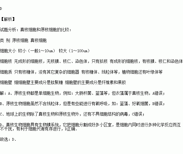 关于原核细胞与真核细胞的叙述正确的是( )a