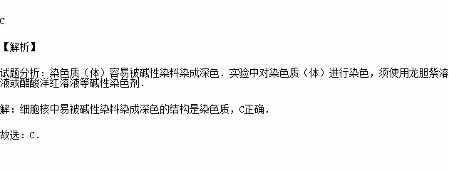 细胞核中易被碱性染料染成深色的结构是)