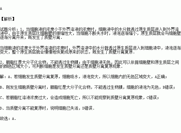 胭脂红简谱_胭脂红瓷器图片