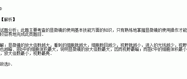 四达国际董事长刘树林(2)