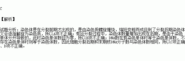 在一個細胞週期中.染色單體數量