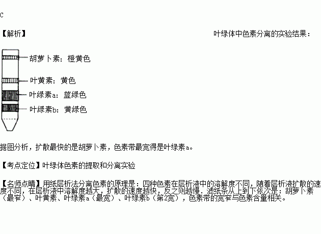 纸层析法分离叶绿体中的色素四种色素扩散速度最快和色素带最宽的分别