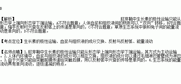 小兔与狼简谱_小兔和狼简谱歌谱(3)