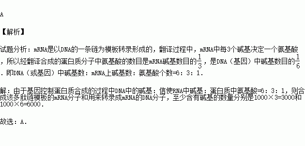 一条多肽链图片