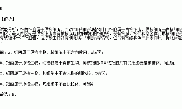 動物肝細胞和植物葉肉細胞等共同具有的結構是( )a.內質網 b.核糖體c.