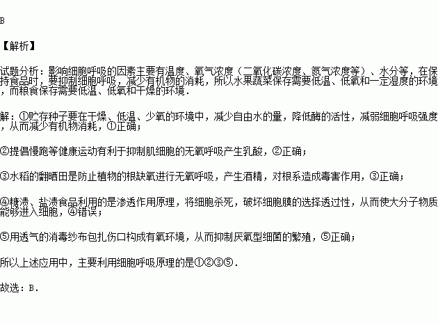 盲文扎的是什么原理_什么是盲文怎么看(3)