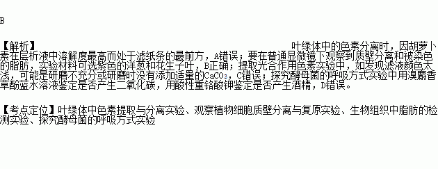 葉綠體中的色素分離時.