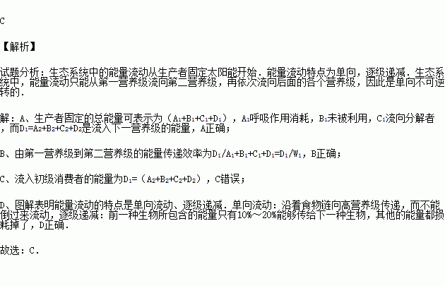 某同学绘制了如图所示的能量流动图解(其中w1为生产者固定的太阳能).