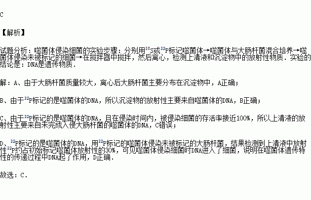 離心得到上清液和沉澱物,檢測上清液中放射性32p約佔初始標記噬菌體