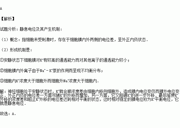 静息曲简谱_儿歌简谱(2)