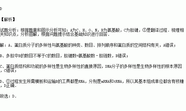 蛋白质结构多样性取决于b的多样性