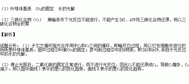 美国科学家卡尔文利用同位素标记法对小球藻的光合作用进行研究最终