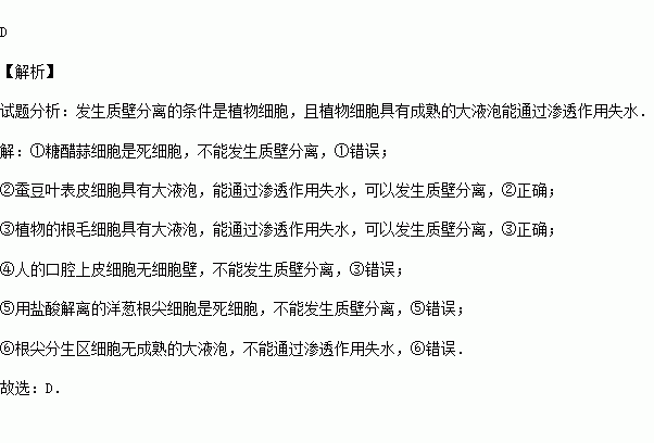 人口上皮细胞能进行质壁分离_人口上皮细胞显微图