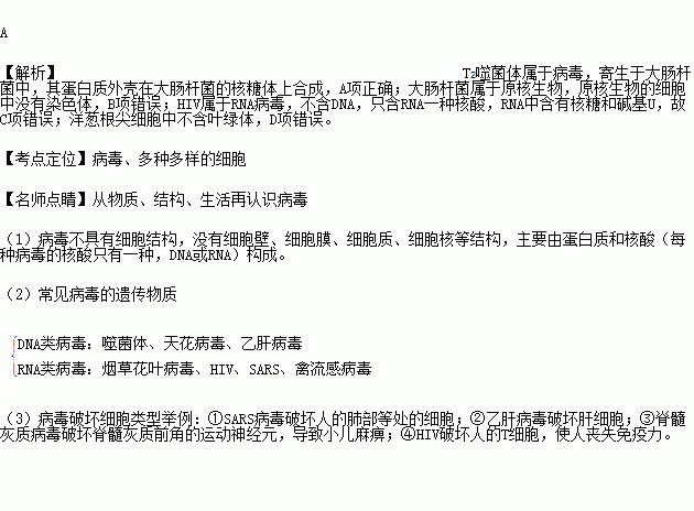 大肠杆菌的染色体主要由dna和蛋白质组成chiv的dna不