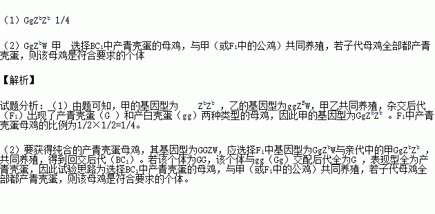 锦色鸡简谱_邦锦梅朵儿歌简谱(2)