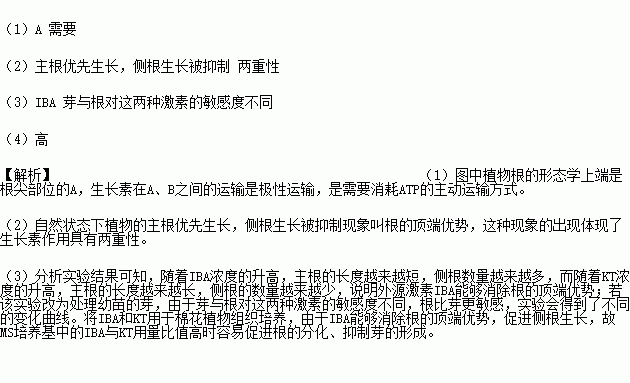 人口形态学_细胞形态学图谱