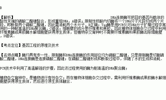 消什么未形成语_色斑形成的原因是什么(3)