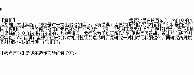 孟德尔利用"假说-演绎 的方法发现了两大遗传规律.