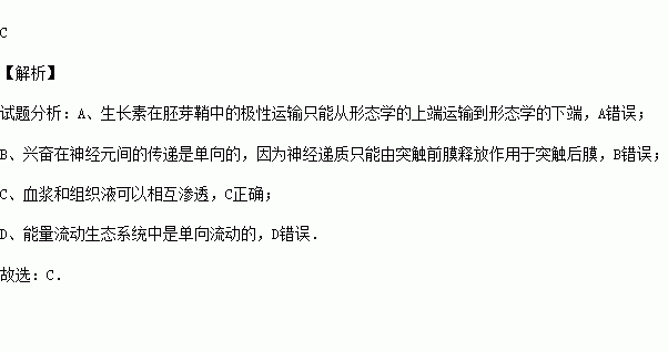 小兔与狼简谱_小兔和狼简谱歌谱(2)