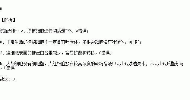 人口上皮细胞能进行质壁分离_人口上皮细胞显微图(2)