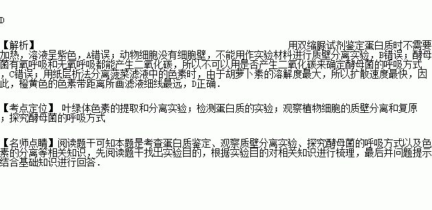 呼吸决定fine简谱_呼吸决定简谱(4)