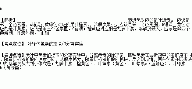 在圆形滤纸的中央滴上叶绿体的色素滤液进行色素分离要看到近似同心