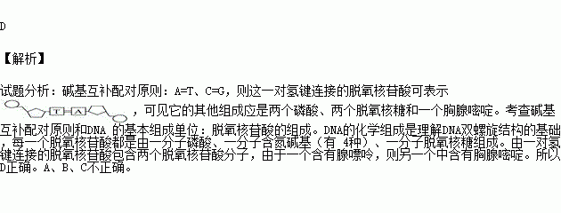 腺嘌呤脱氧核糖核酸图片