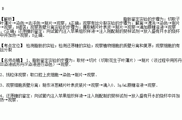 人口上皮细胞能进行质壁分离_人口上皮细胞显微图