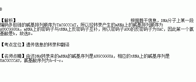 钱某为一有限责任公司的董事长(2)