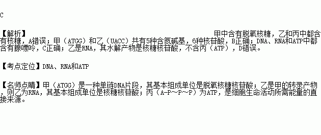 沈阳机床集团董事长(2)